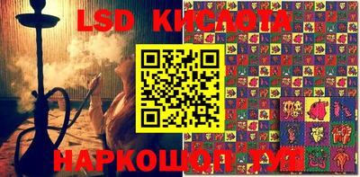 шишки Краснознаменск