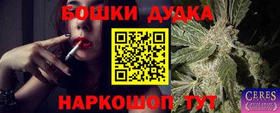 шишки Краснознаменск