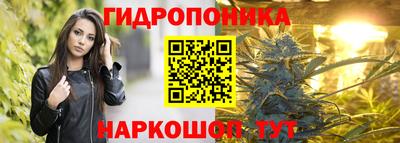 шишки Краснознаменск