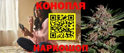 шишки Краснознаменск