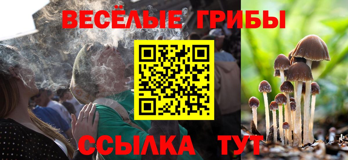 Галлюциногенные грибы Psilocybe  Псилоцибиновые грибы мухоморы  где можно купить наркотик  Коркино  Вход с VPN 