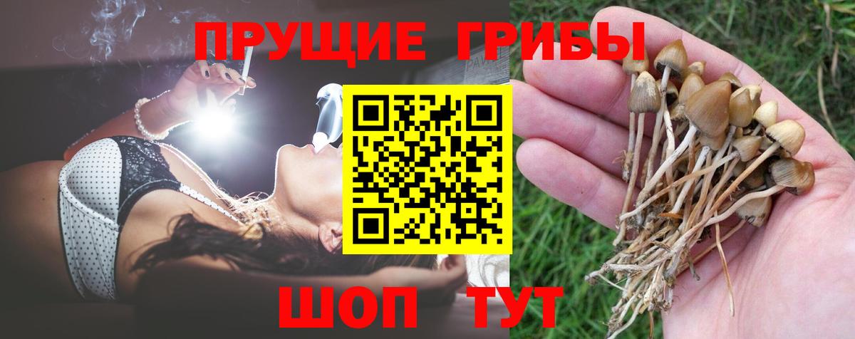 Псилоцибиновые грибы прущие грибы Коркино